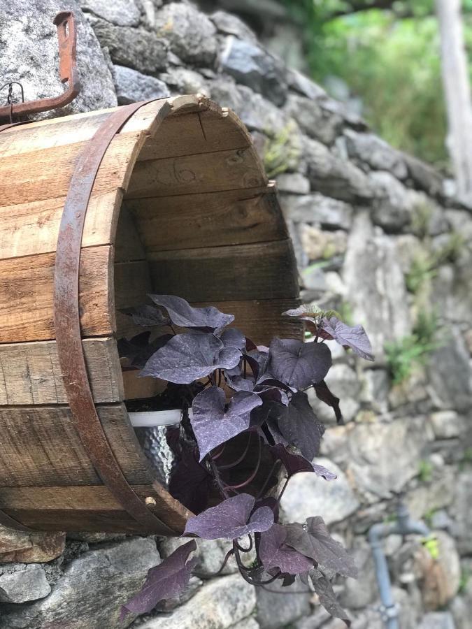 B&B Osteria Morganti Someo Dış mekan fotoğraf