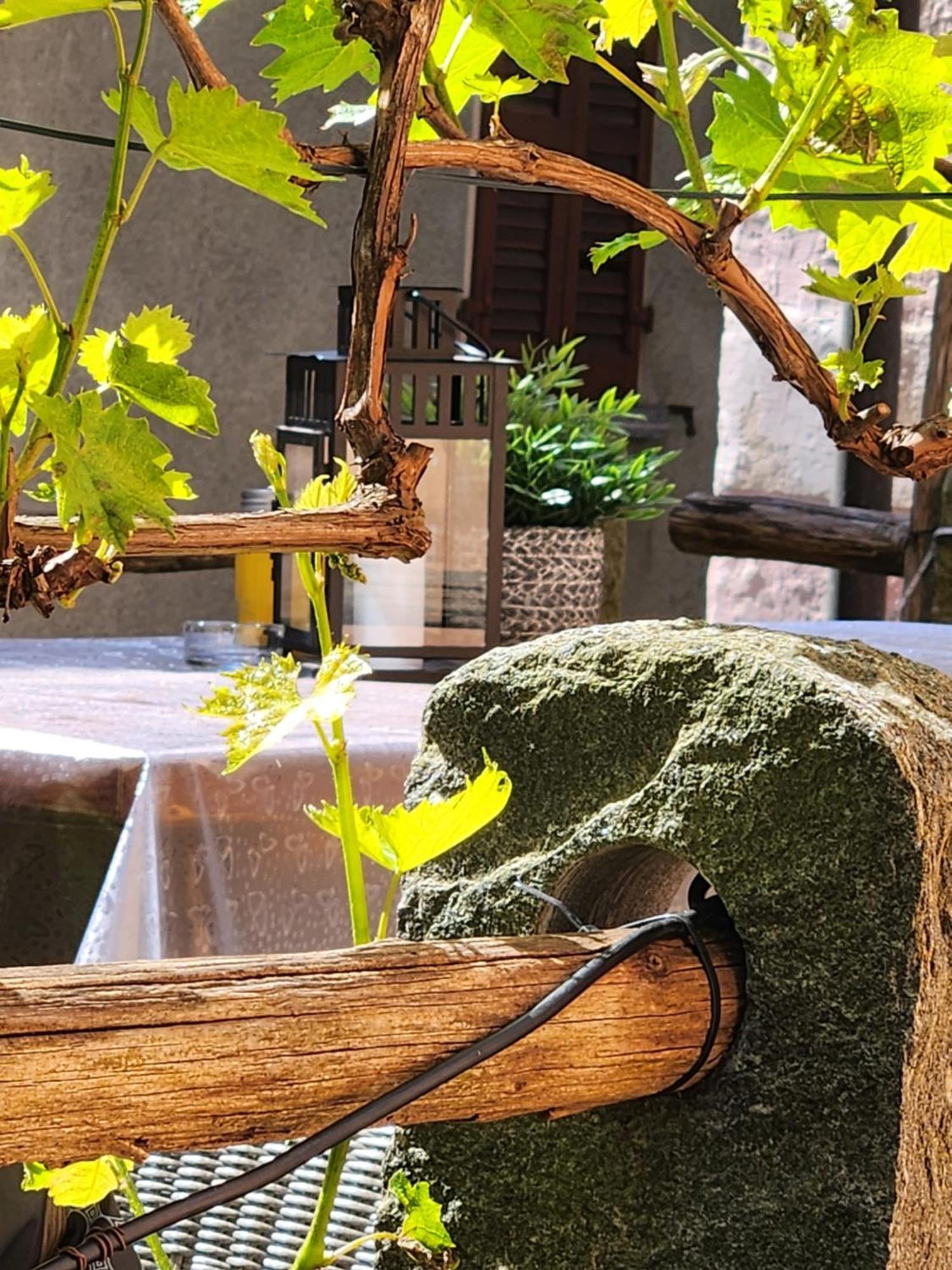 B&B Osteria Morganti Someo Dış mekan fotoğraf